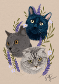Fauna a Flora