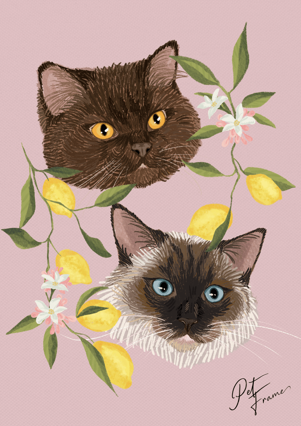 Fauna a Flora
